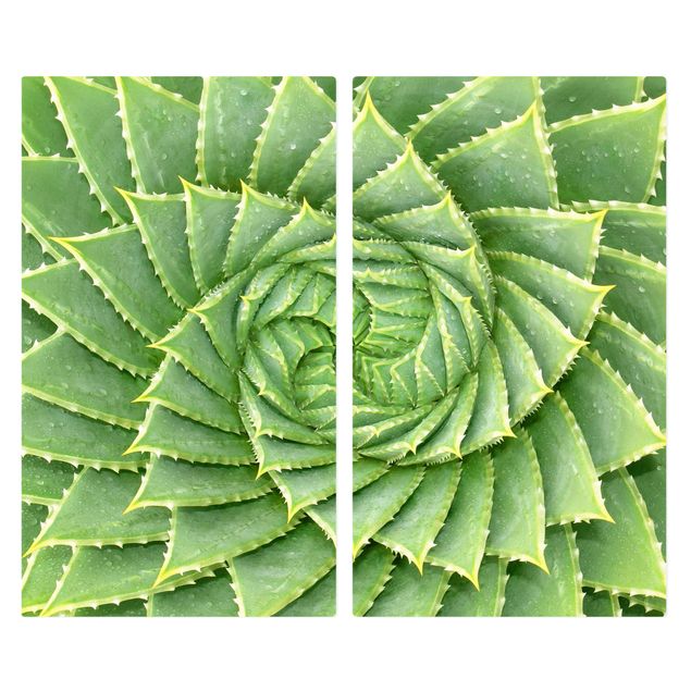 Herdabdeckplatte Glas - Spiral Aloe
