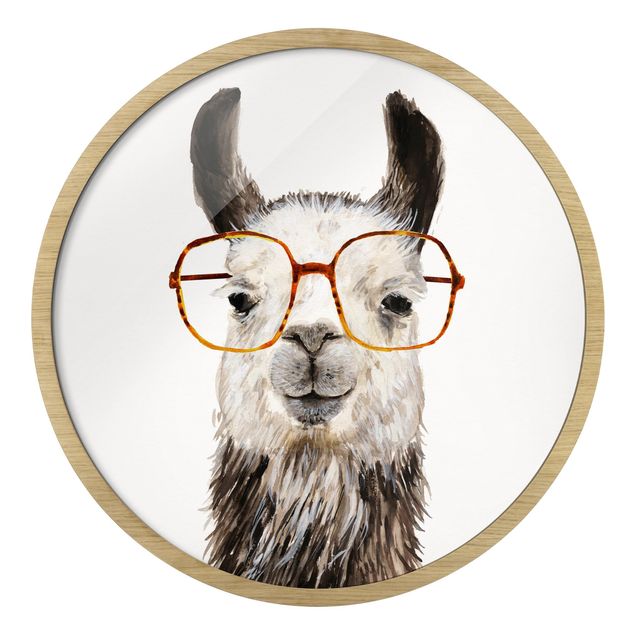 Bilder Hippes Lama mit Brille IV