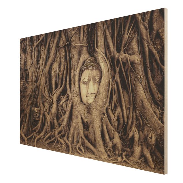 Holzbilder Natur Buddha in Ayutthaya von Baumwurzeln gesäumt in Braun