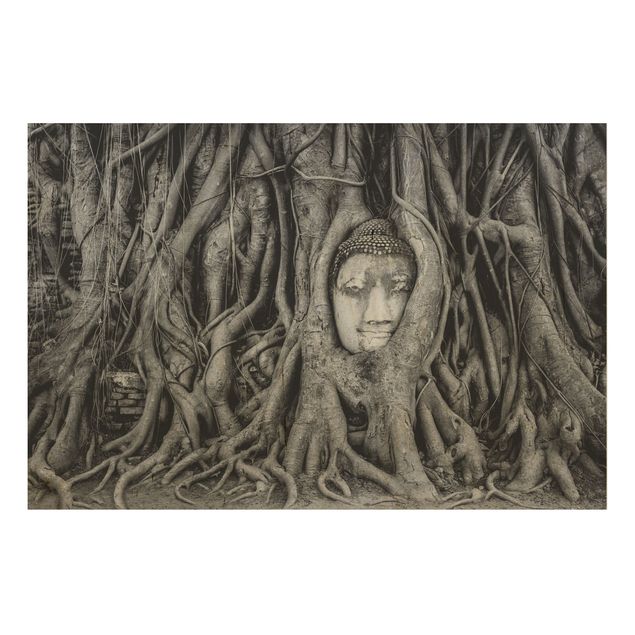 Holzbilder Syklines Buddha in Ayutthaya von Baumwurzeln gesäumt in Schwarzweiß