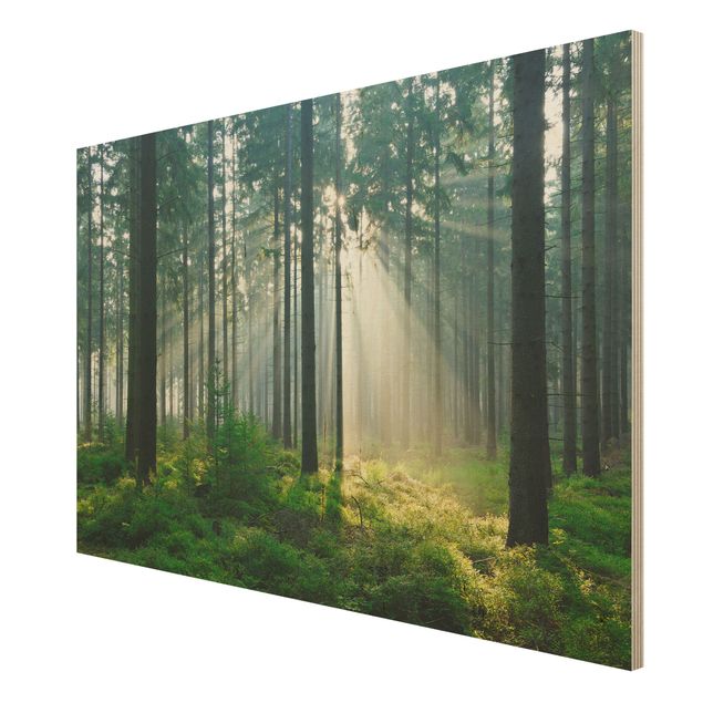 Bilder auf Holz Enlightened Forest