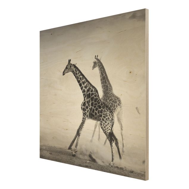 Wandbild aus Holz - Giraffenjagd - Quadrat 1:1