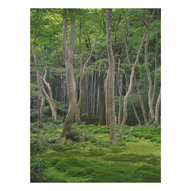 Holzbilder Natur Japanischer Wald