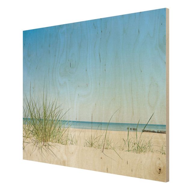 Wandbild Holz Ostseeküste