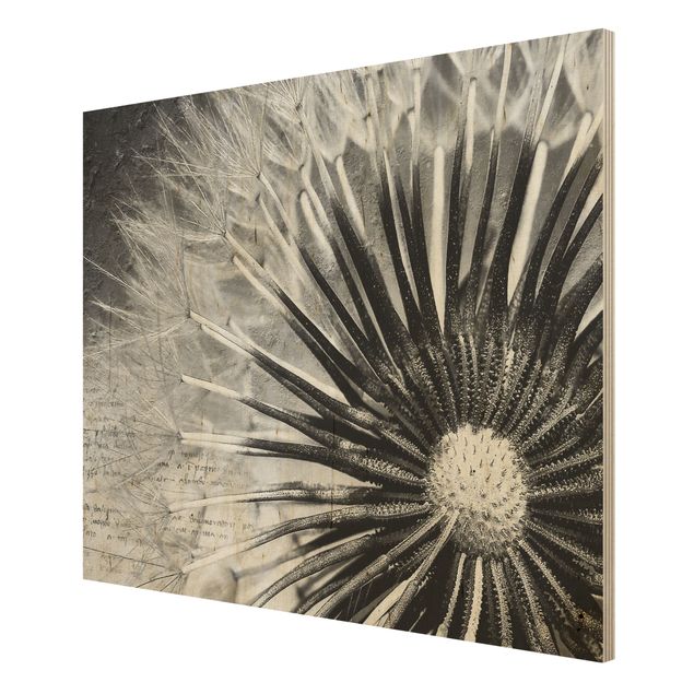 Bilder auf Holz Pusteblume Schwarz & Weiß