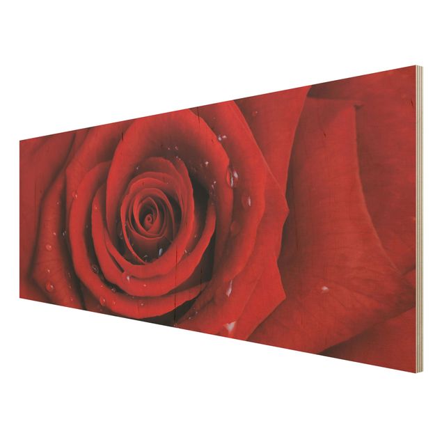 Holzbild - Rote Rose mit Wassertropfen - Panorama Quer