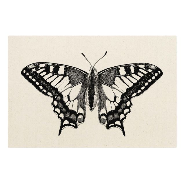 Leinwandbild Natur - Illustration fliegender Schwalbenschwanz Schwarz - Querformat 3:2