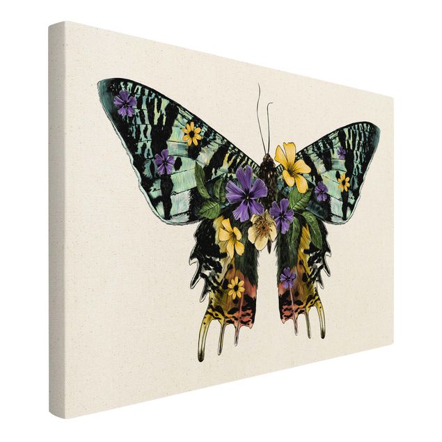 Leinwandbild Natur - Illustration floraler Madagaskar Schmetterling - Querformat 3:2