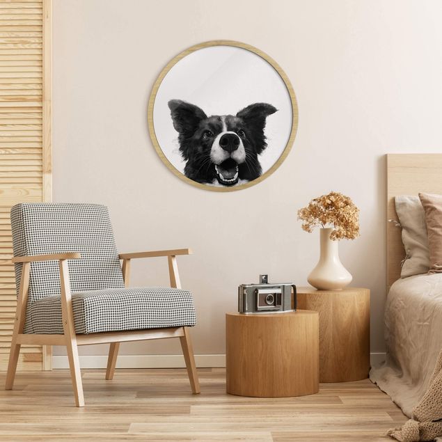 Tiere Bilder mit Rahmen Illustration Hund Border Collie Schwarz Weiß Malerei