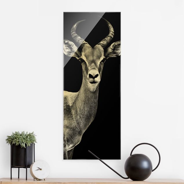 XXL Glasbilder Impala Antilope schwarz-weiß