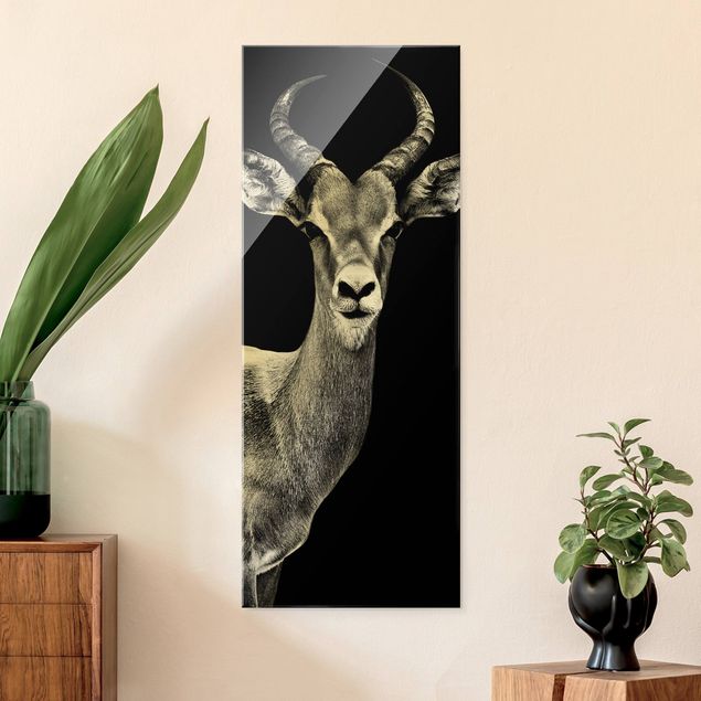 Glasbilder Schwarz-Weiß Impala Antilope schwarz-weiß
