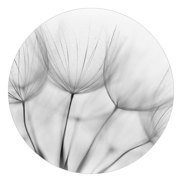 Runde Tapete selbstklebend - In einer Pusteblume Schwarz-Weiß