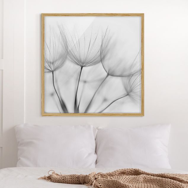 Moderne Bilder mit Rahmen In einer Pusteblume Schwarz-Weiß