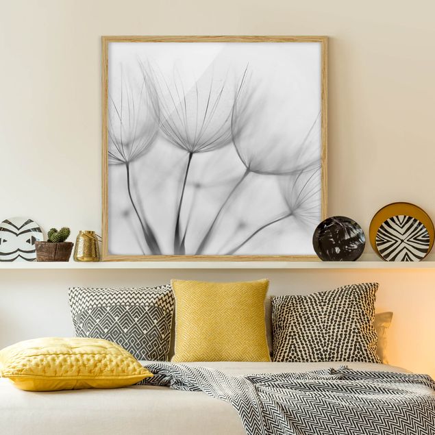Bilder gerahmt Blumen In einer Pusteblume Schwarz-Weiß