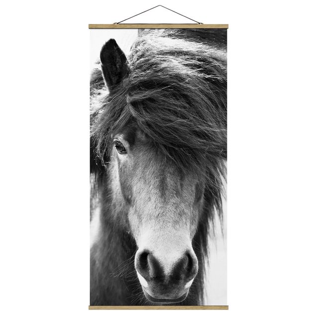 Stoffbild mit Posterleisten - Island Pferd in Schwarz-weiß - Hochformat 1:2