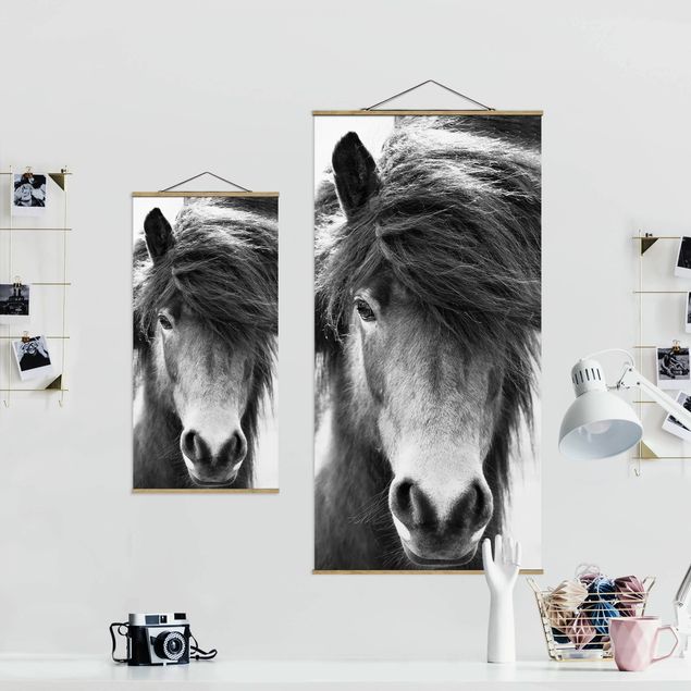 Stoffbild mit Posterleisten - Island Pferd in Schwarz-weiß - Hochformat 1:2