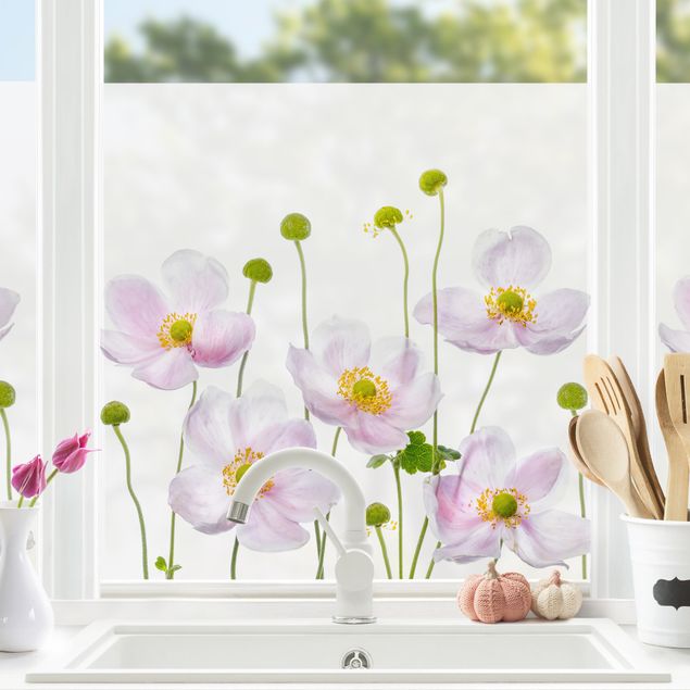 Blumen Fensterbild Japanische Anemonen