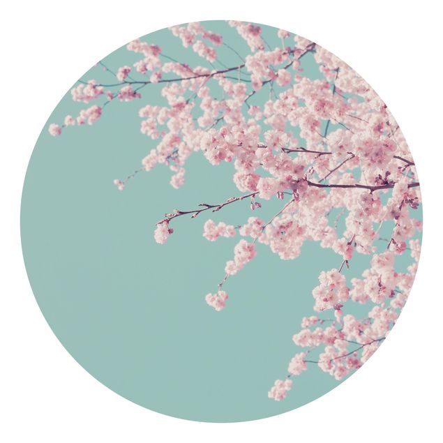 Fototapete Wellness Japanische Kirschblüte