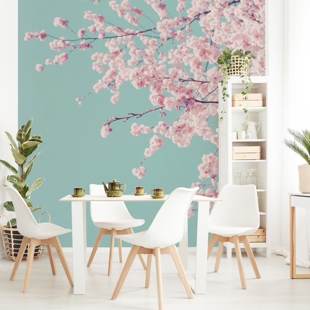 Design Tapeten Japanische Kirschblüte