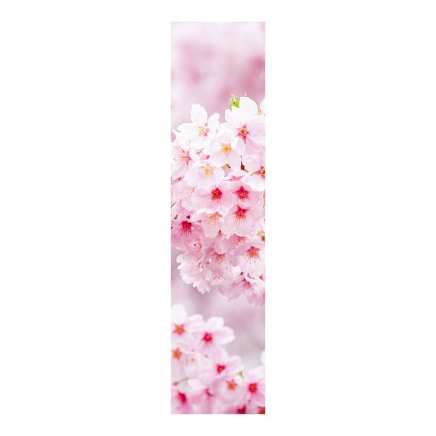 Monika Strigel Poster Japanische Kirschblüte