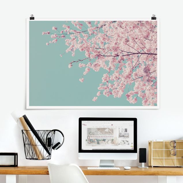 Wand Poster XXL Japanische Kirschblüte