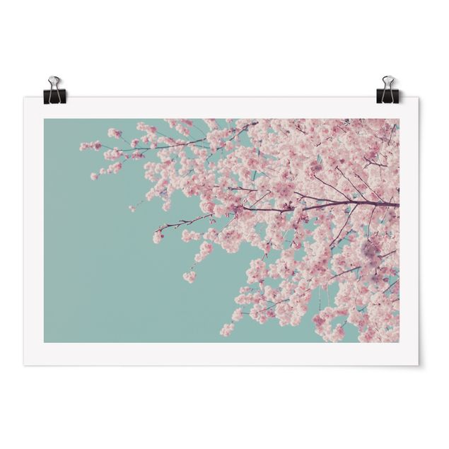 Monika Strigel Japanische Kirschblüte