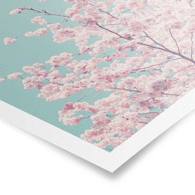 Wandbilder Japanische Kirschblüte