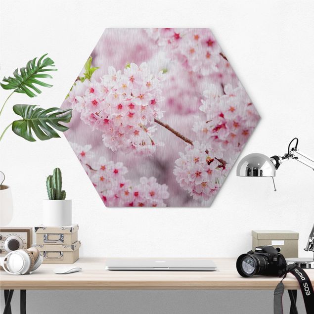 Hexagon Bild Alu-Dibond - Japanische Kirschblüten