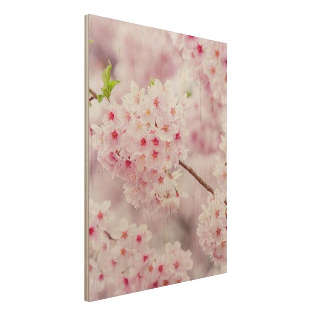 Holzbilder Blumen Japanische Kirschblüten