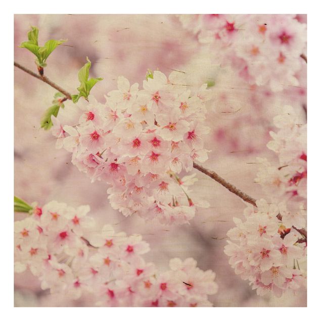 Holzbilder Syklines Japanische Kirschblüten
