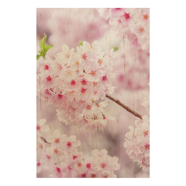 Holzbilder Syklines Japanische Kirschblüten
