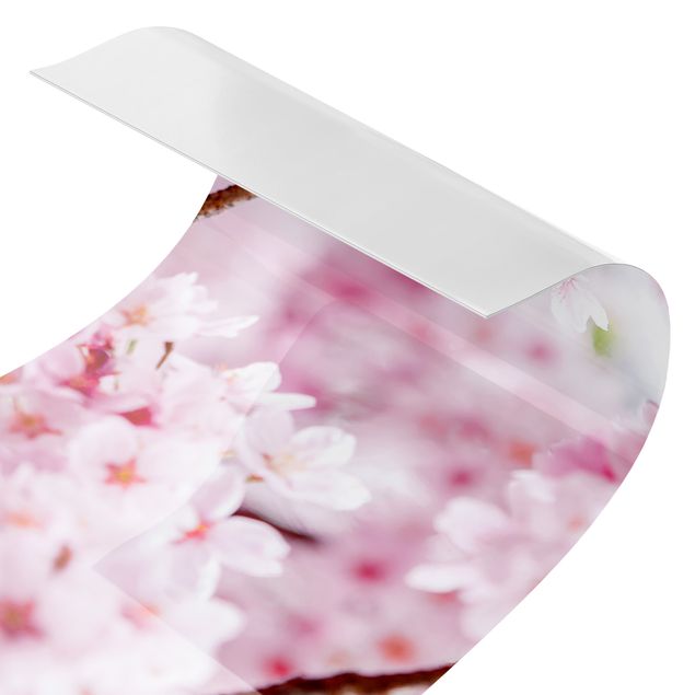 Spritzschutz Küche ohne bohren Japanische Kirschblüten