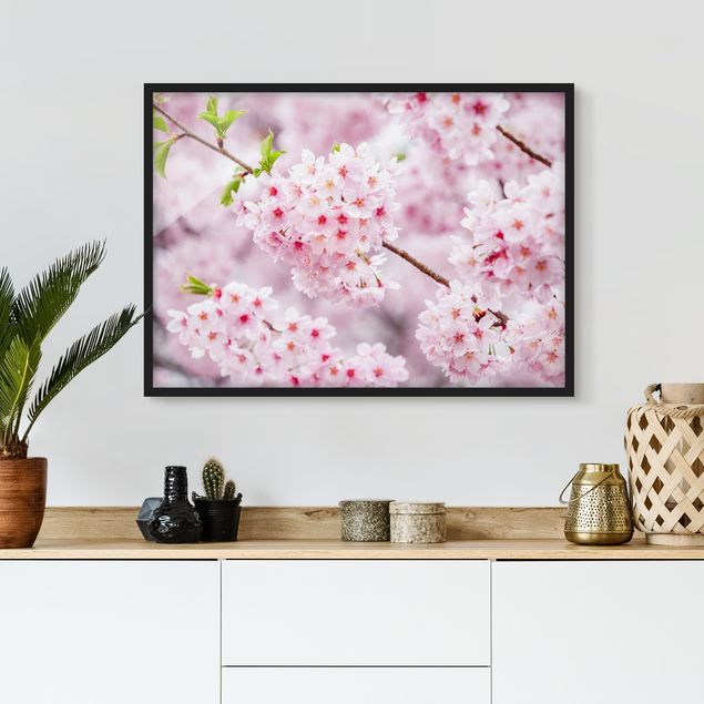 Bild mit Rahmen - Japanische Kirschblüten - Querformat