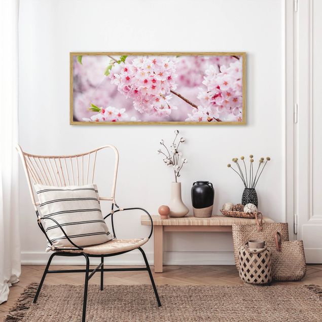 Blumen Bilder mit Rahmen Japanische Kirschblüten