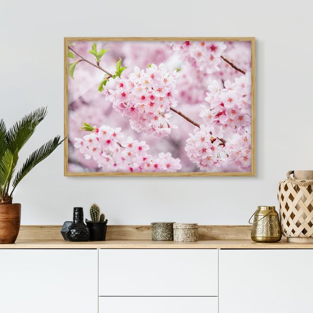 Bilder gerahmt Blumen Japanische Kirschblüten