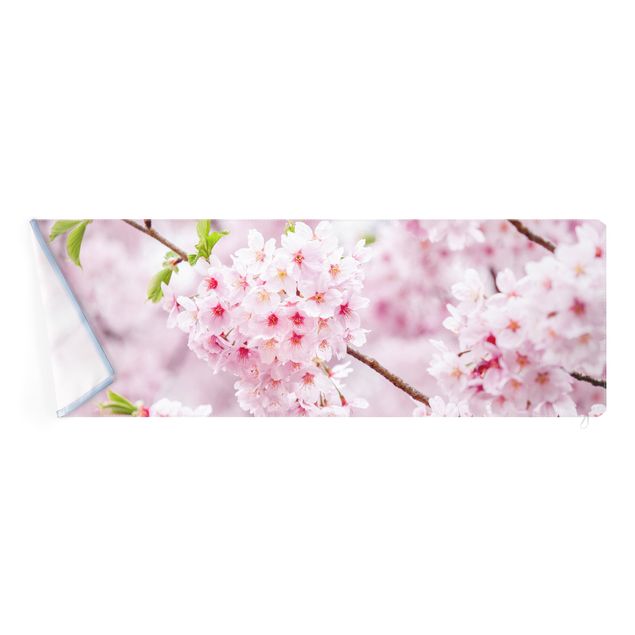 Wechselbild - Japanische Kirschblüten