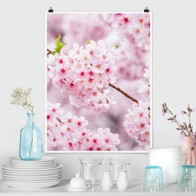 Riesenposter XXL Japanische Kirschblüten
