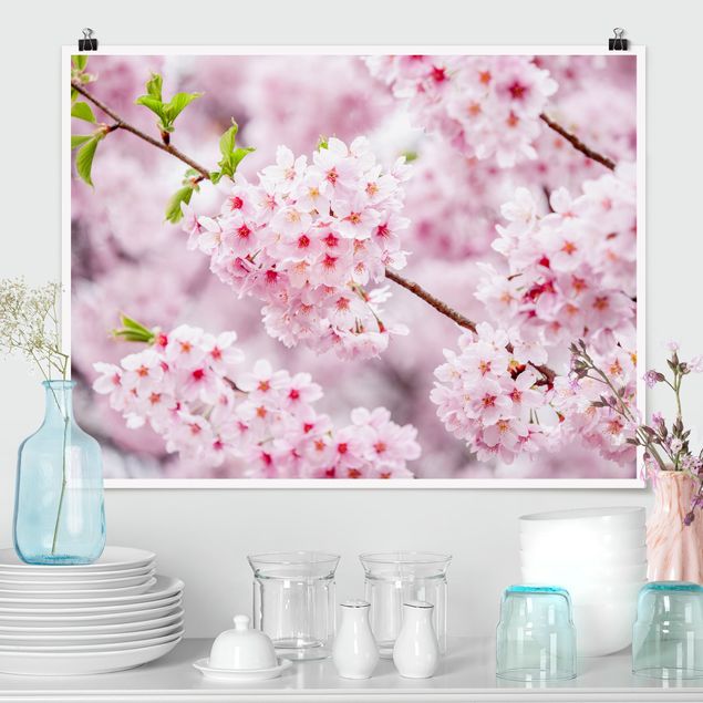 Wand Poster XXL Japanische Kirschblüten