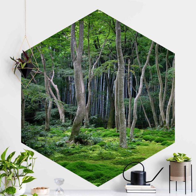 Tapete Baum Japanischer Wald