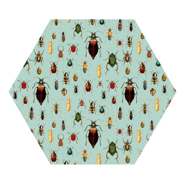 Hexagon Mustertapete selbstklebend - Käfer auf Blau