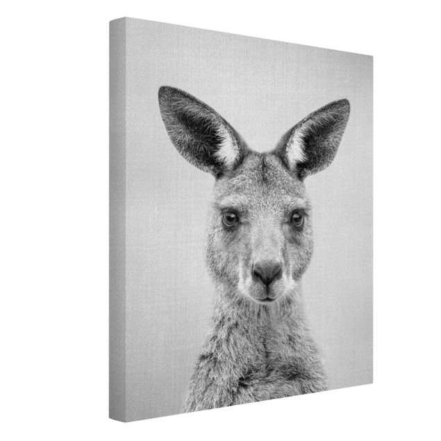 Leinwandbilder kaufen Känguru Knut Schwarz Weiß