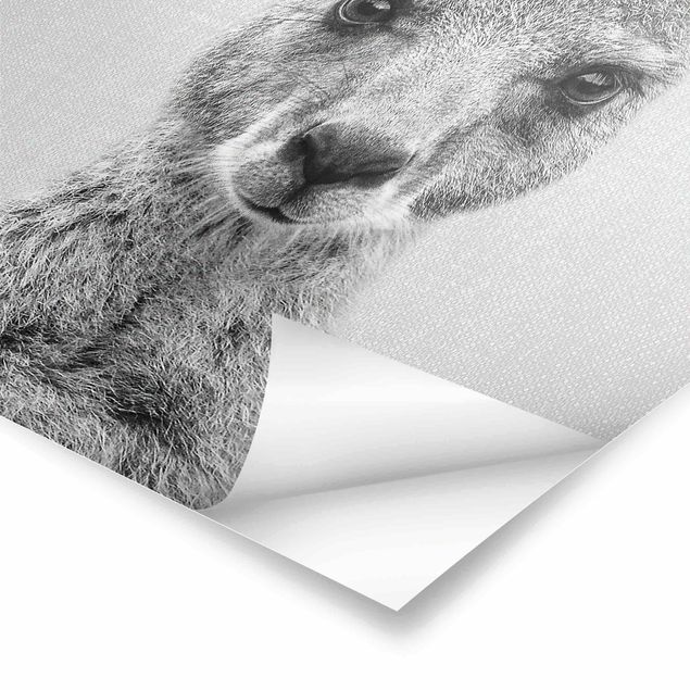 Poster - Känguru Knut Schwarz Weiß - Hochformat 3:4