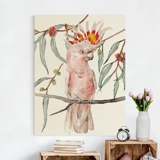 schöne Bilder Kakadu mit Rosa Federn