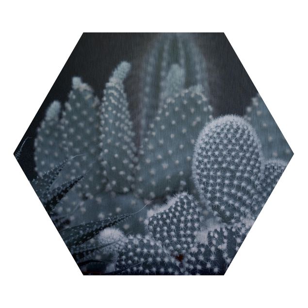 Hexagon Bild Alu-Dibond - Kakteenfamilie bei Nacht