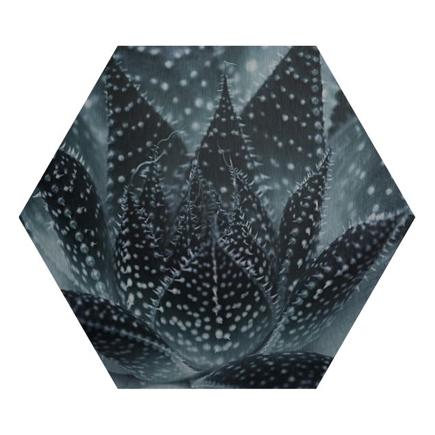 Hexagon Bild Alu-Dibond - Kaktus mit Sternpunkten bei Nacht