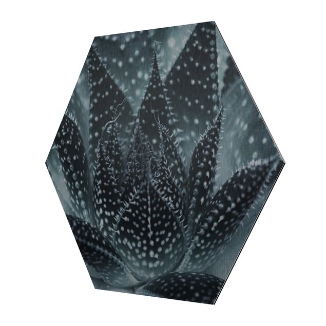 Hexagon Bild Alu-Dibond - Kaktus mit Sternpunkten bei Nacht