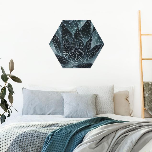 Hexagon Bild Forex - Kaktus mit Sternpunkten bei Nacht