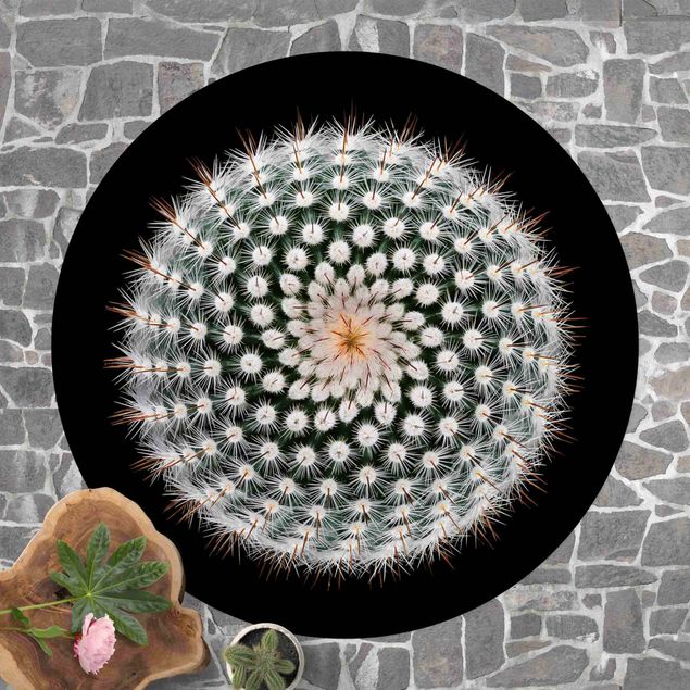 Moderne Teppiche Kaktusblüte