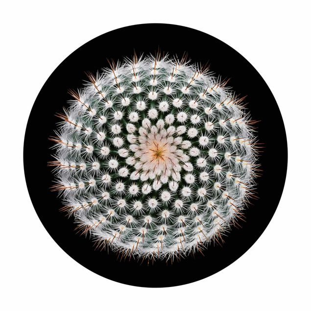 Vinyl-Teppich Kaktusblüte
