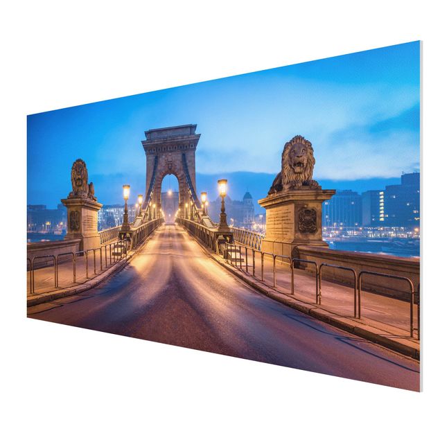 Forex Fine Art Print - Kettenbrücke in Budapest bei Nacht - Querformat 2:1